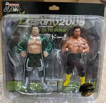 三沢光晴 川田利明 フィギュア プロレス ノア Amazon.co.jp: 三沢光晴 川田利明 フィギュア プロレス ノア